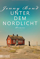 Unter dem Nordlicht