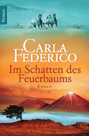 Im Schatten des Feuerbaums