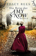 Die Reise der Amy Snow