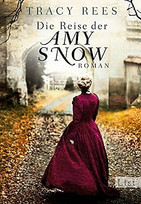 Die Reise der Amy Snow